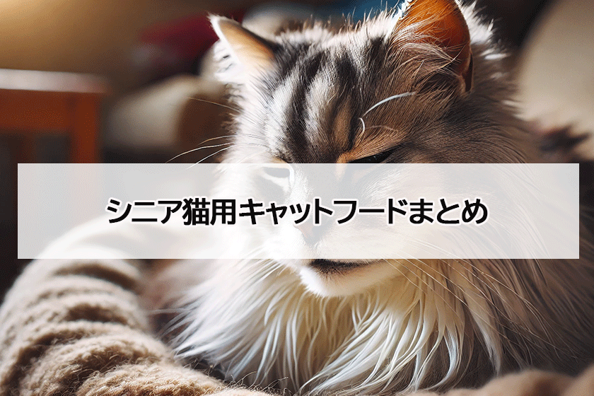 シニア猫用キャットフードのまとめ