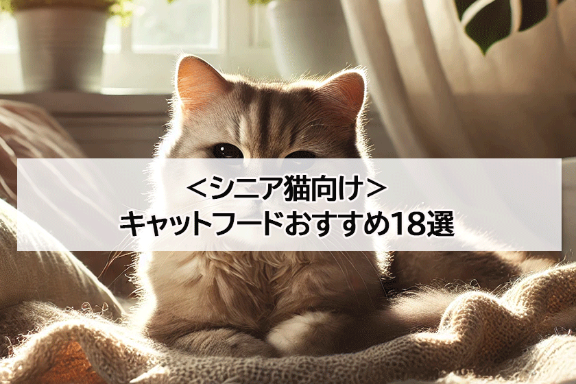 シニア猫向けキャットフードランキング